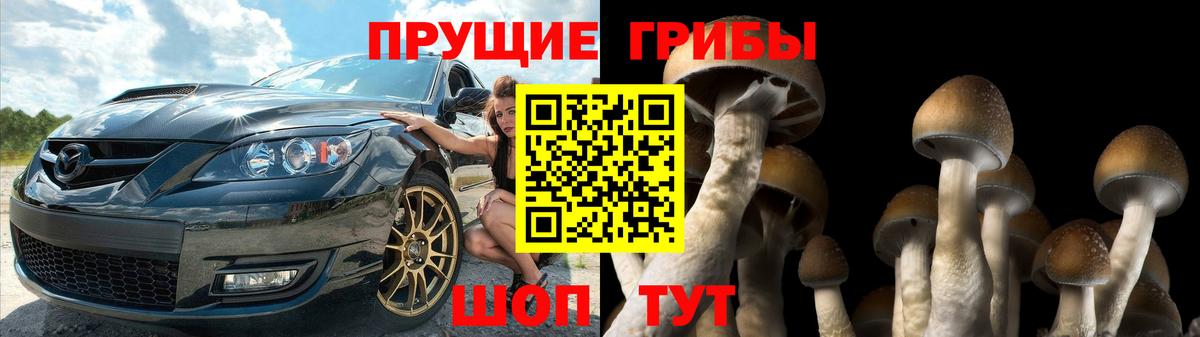 Избербаш  Псилоцибиновые грибы мицелий  Вход с VPN 